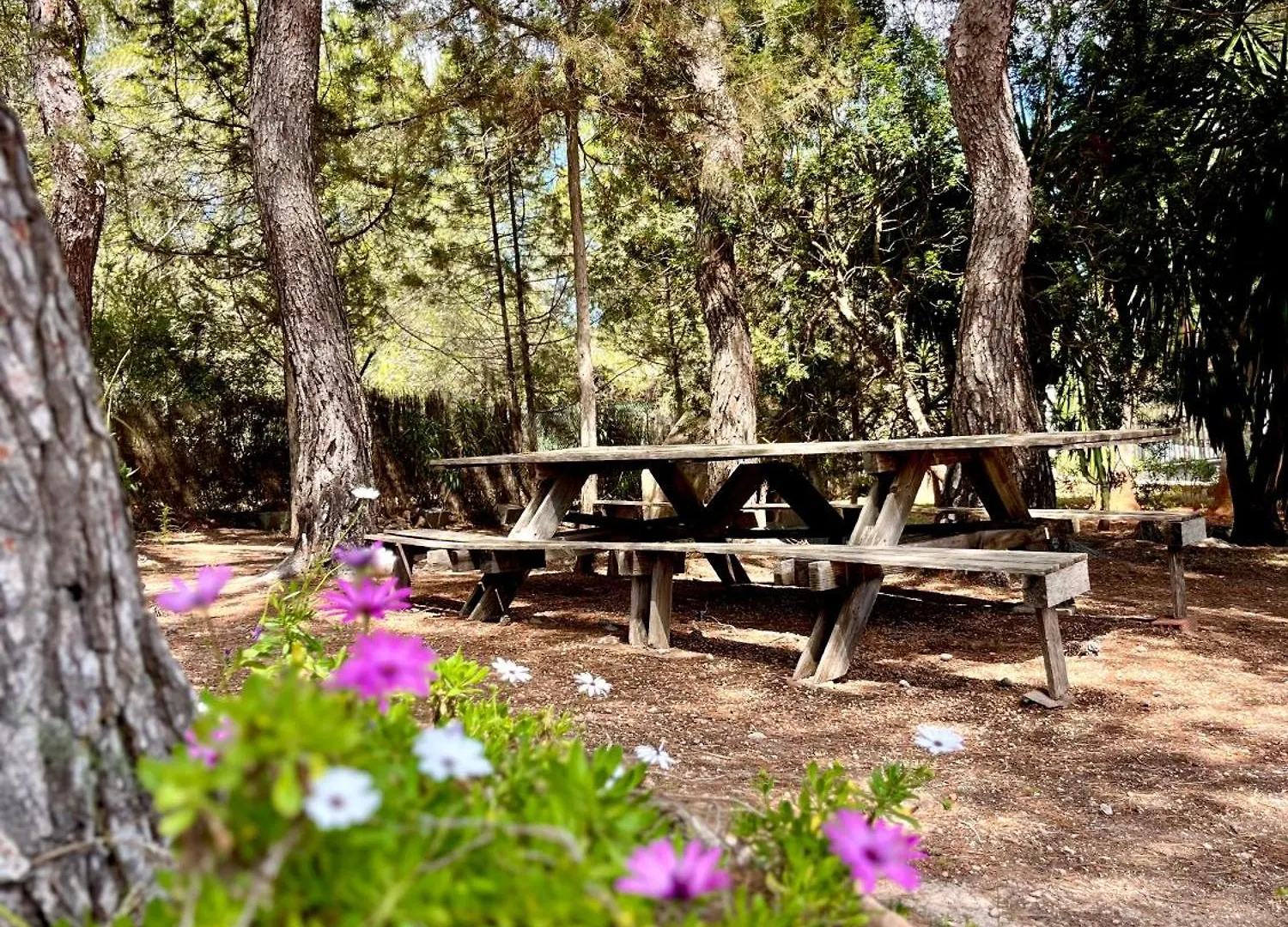 Walk To Unvrs & Amnesia - 4Br Finca - Private Pool & Forest 0*, San Antonio Abad España